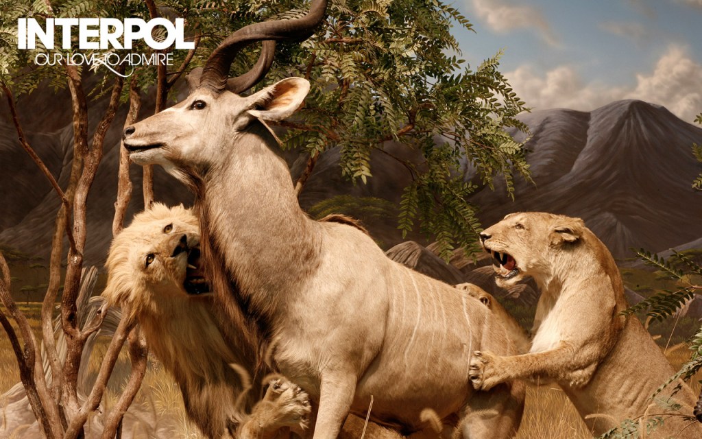 interpol_our_love_to_admire