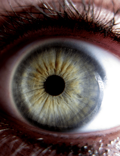 eye