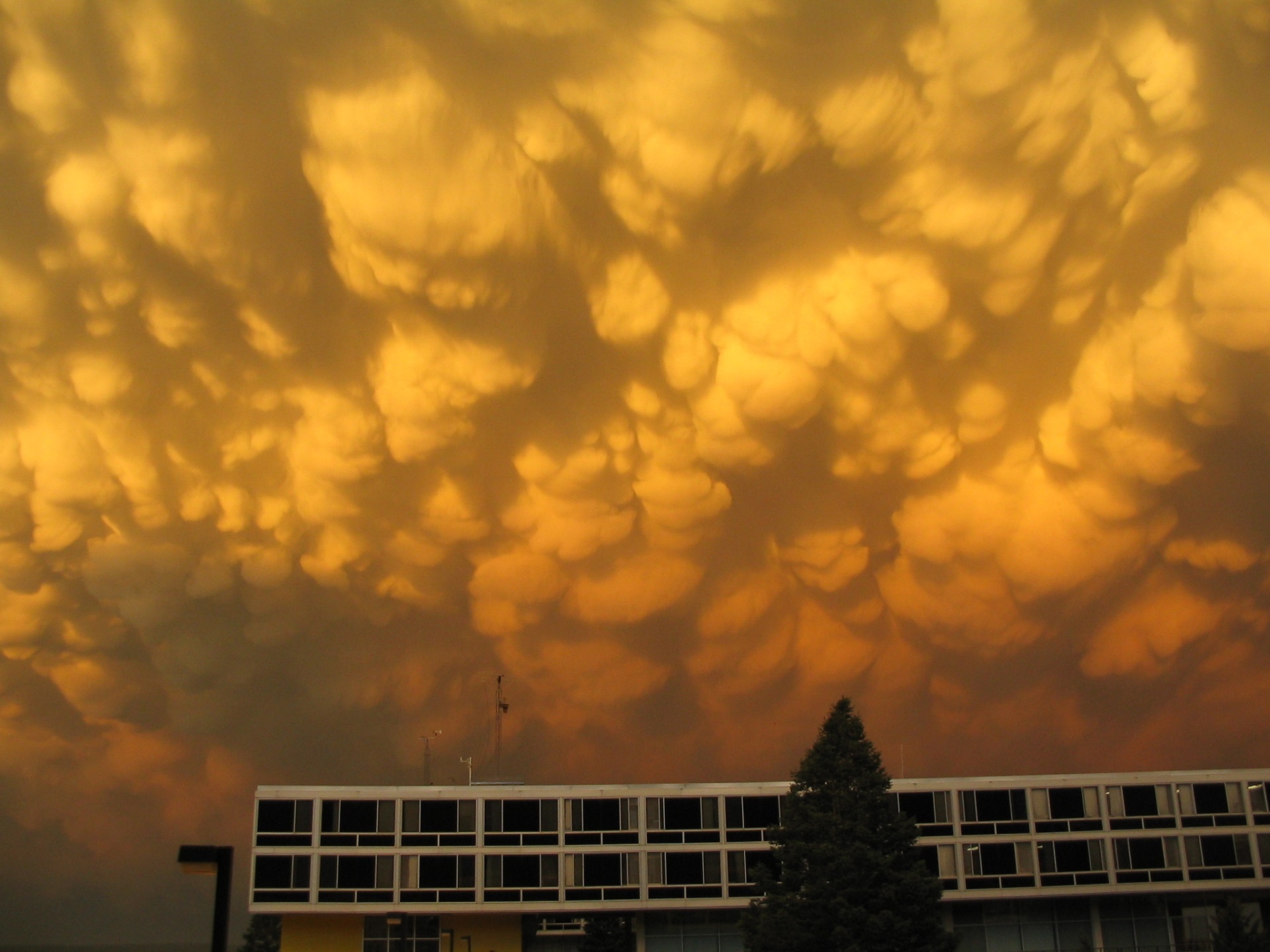 mammatus-clouds-1022812