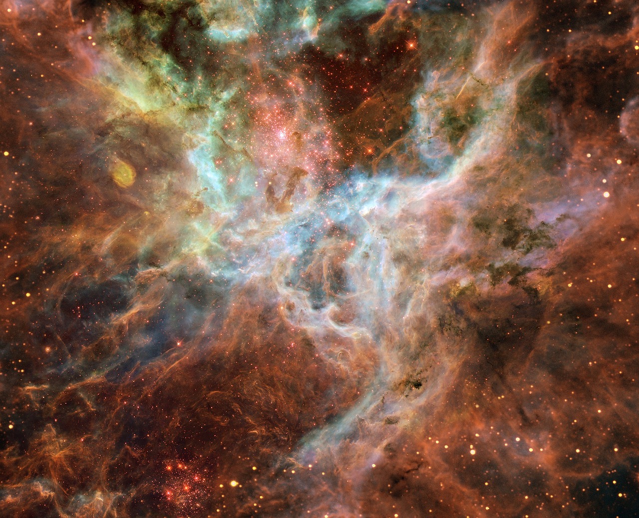 tarantula-nebula-1245253_1280