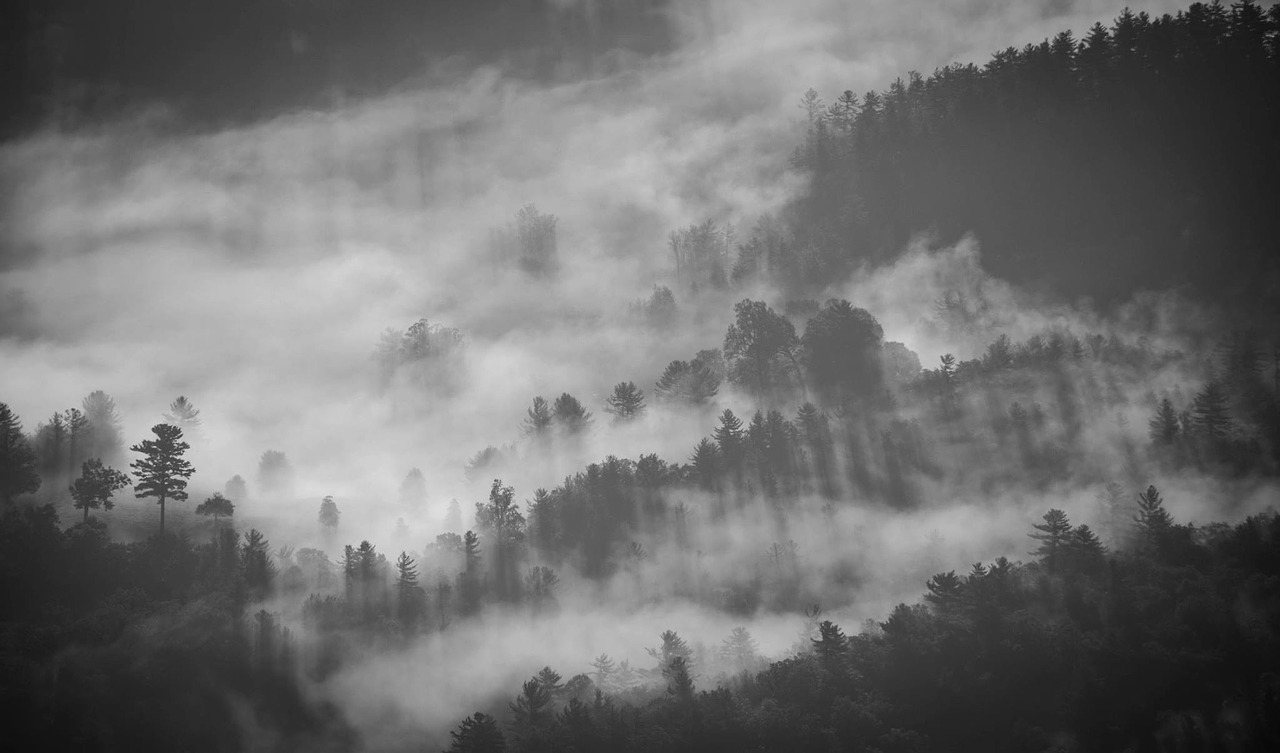 foggy-1149180_1280