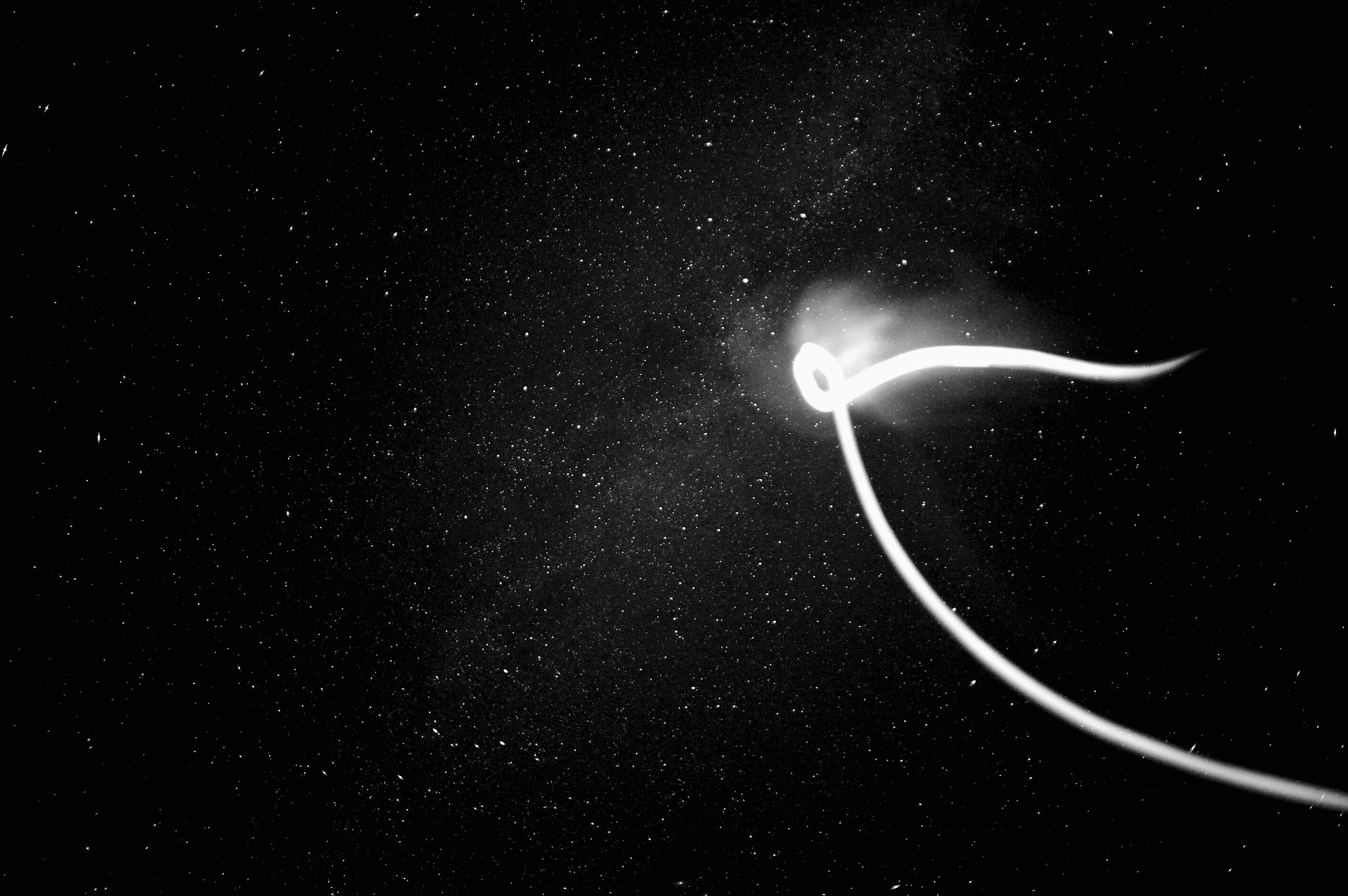 universe-699026_1920