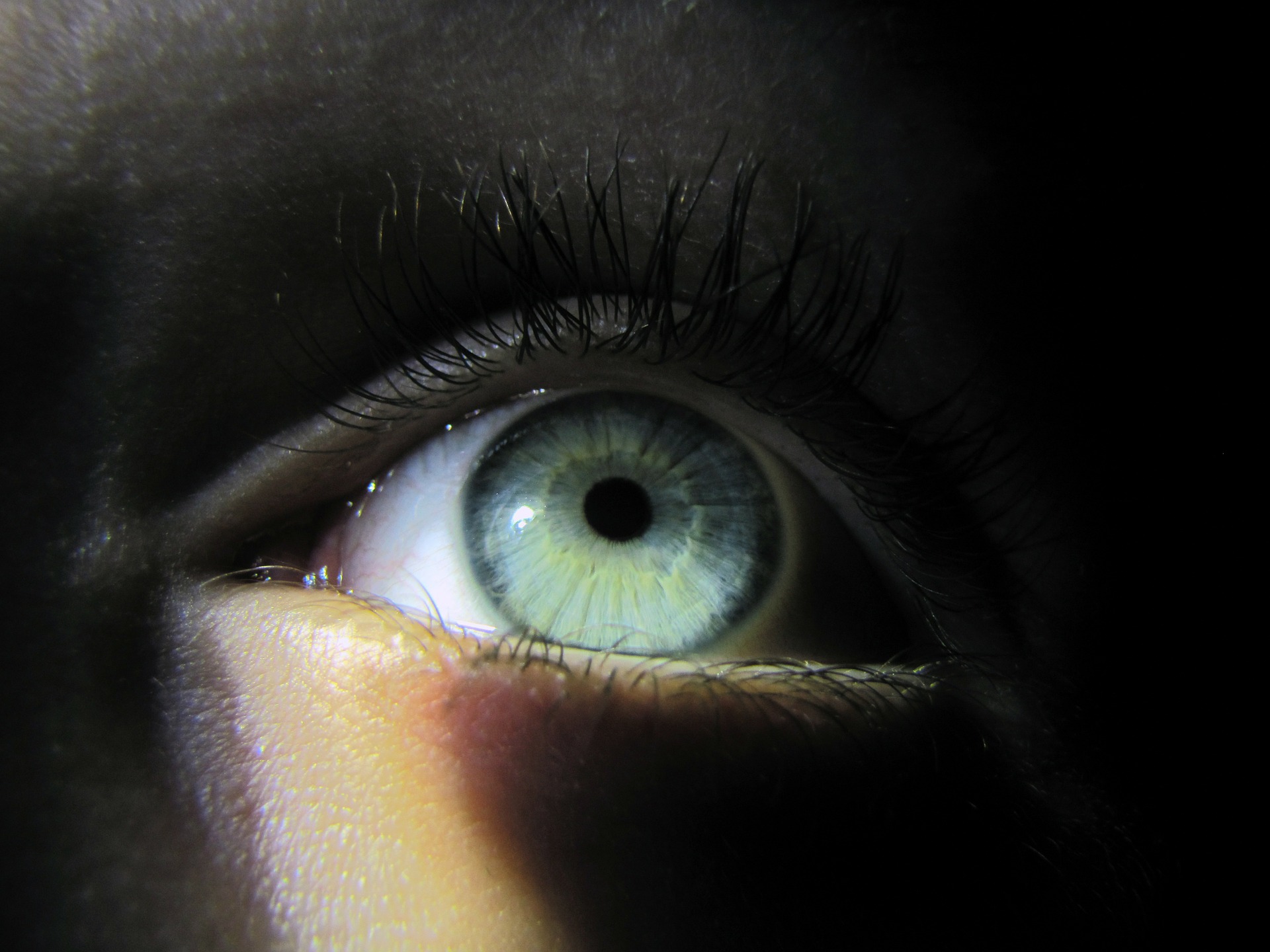 eye-249850_1920