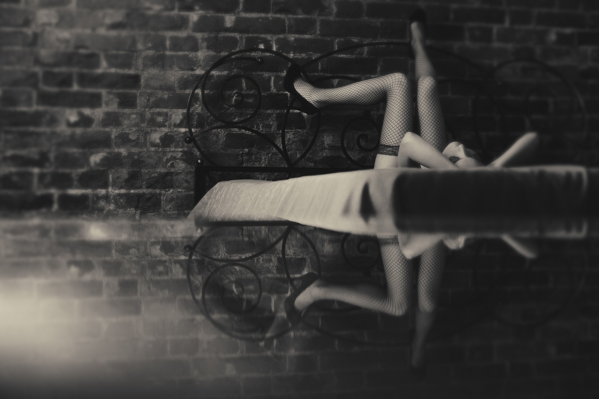 black-widow-2201437_1920