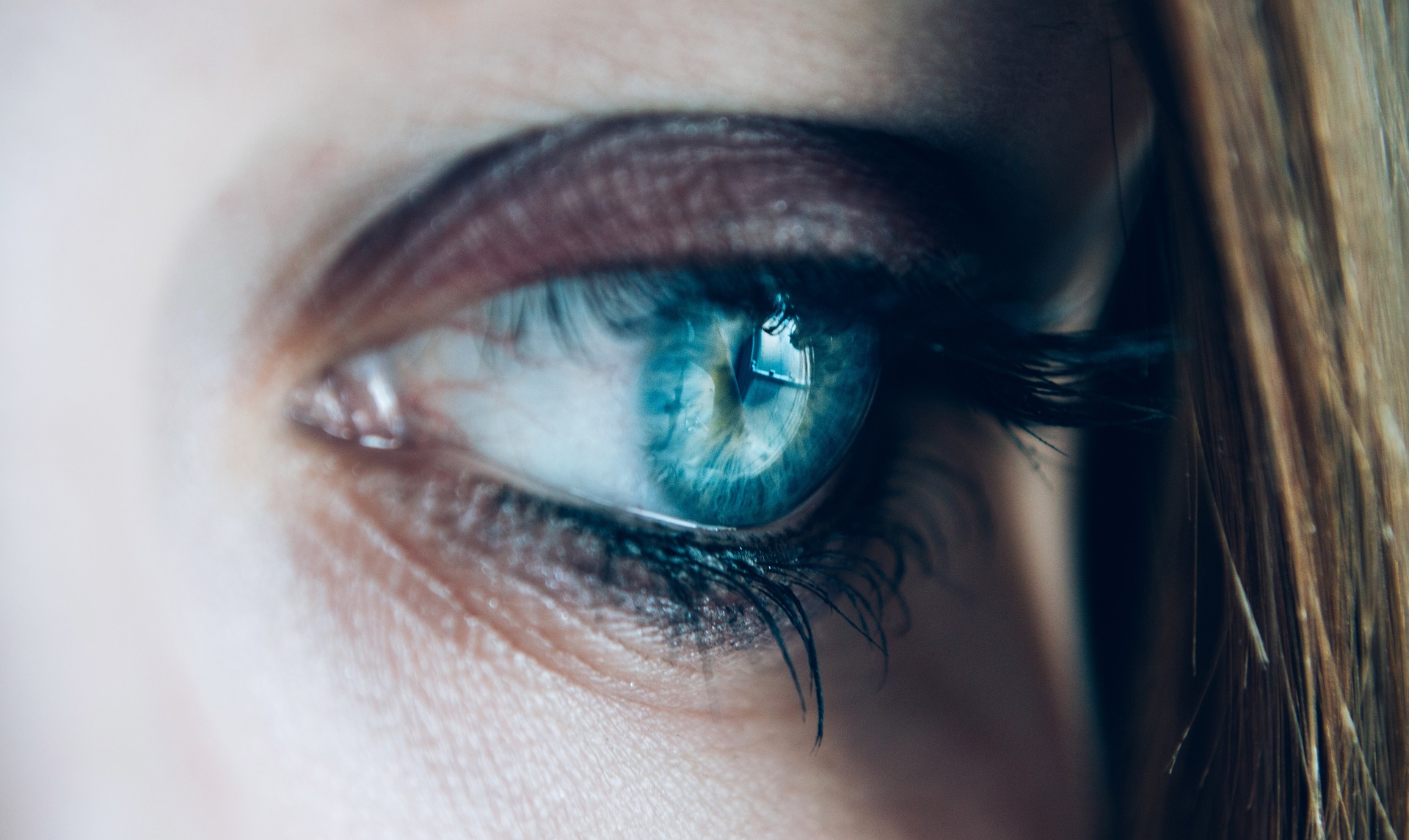 close-up-1837213_1920