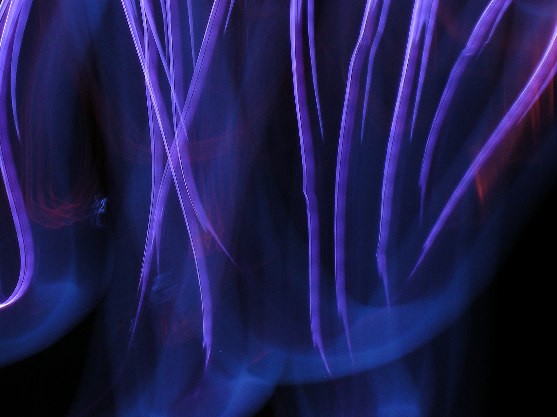 purple-2099144_1920