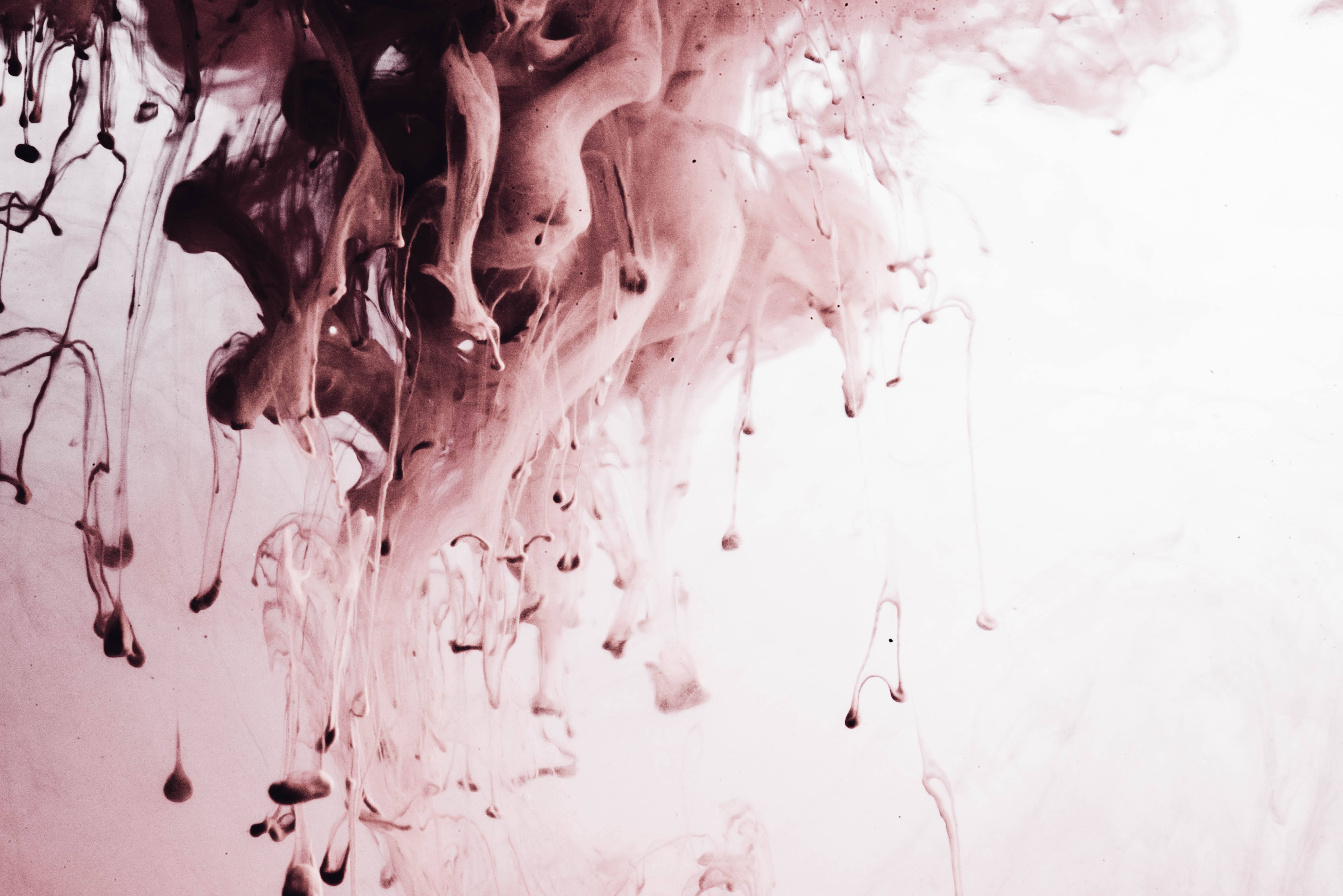 chuttersnap-297550-unsplash