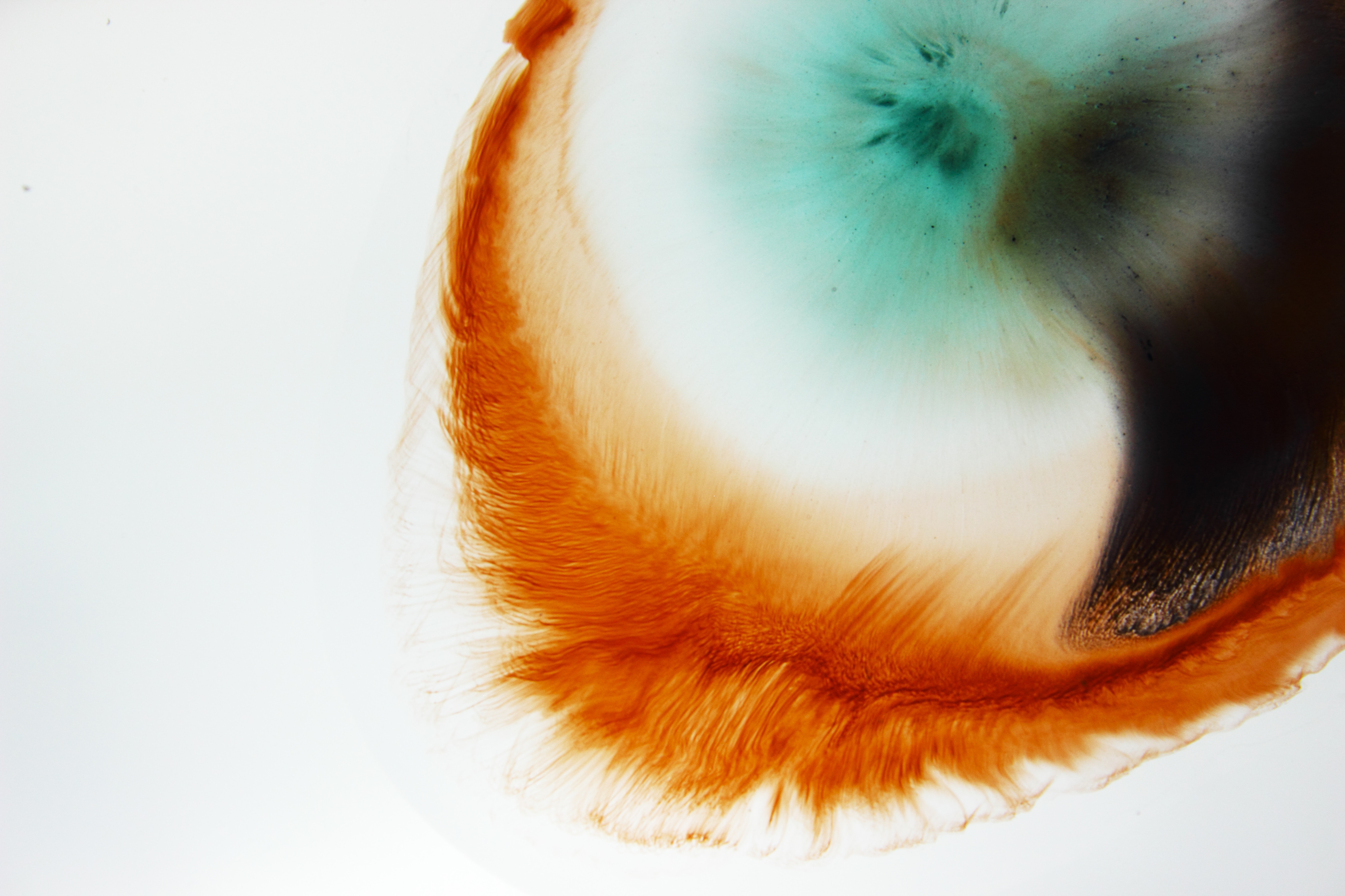ilya-lix-490522-unsplash