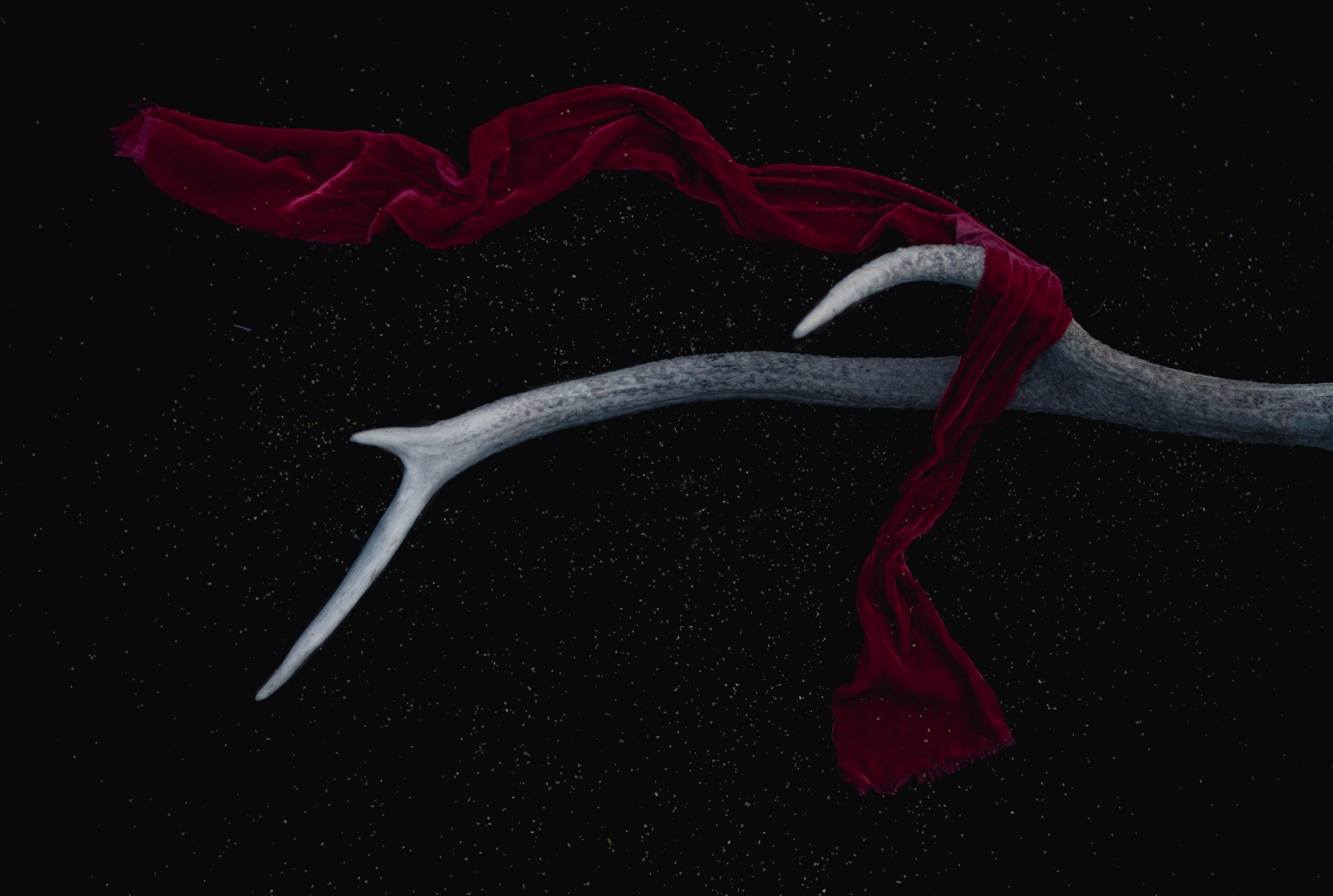 oscar-keys-34031-unsplash