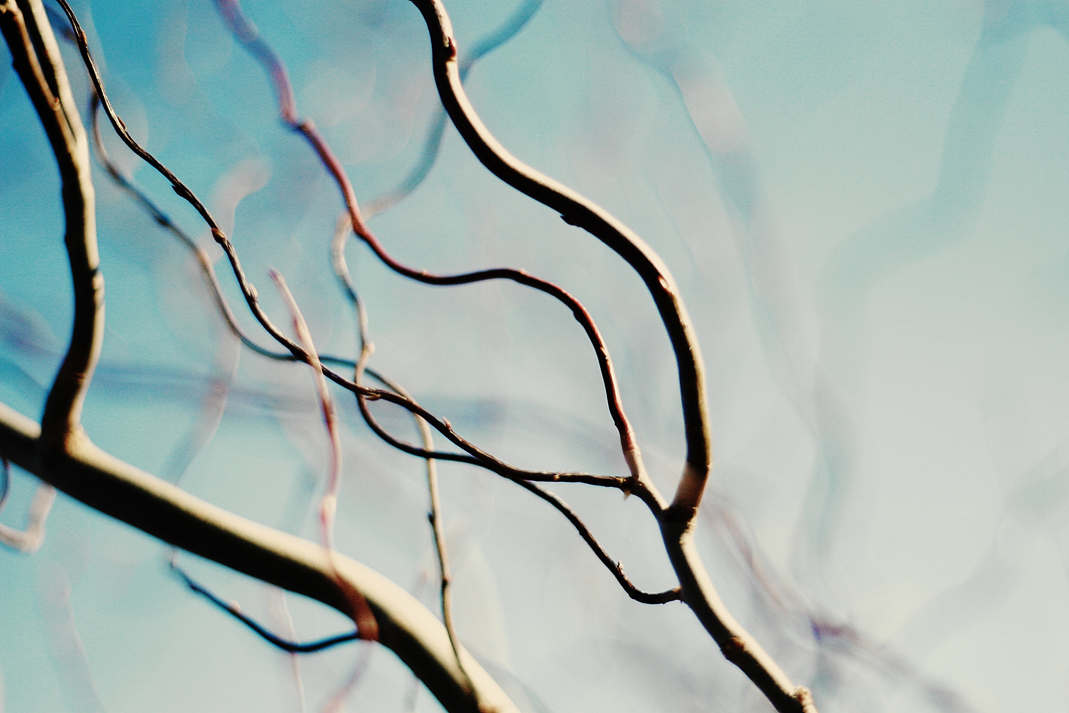 maddy-baker-foPO56OqKcY-unsplash