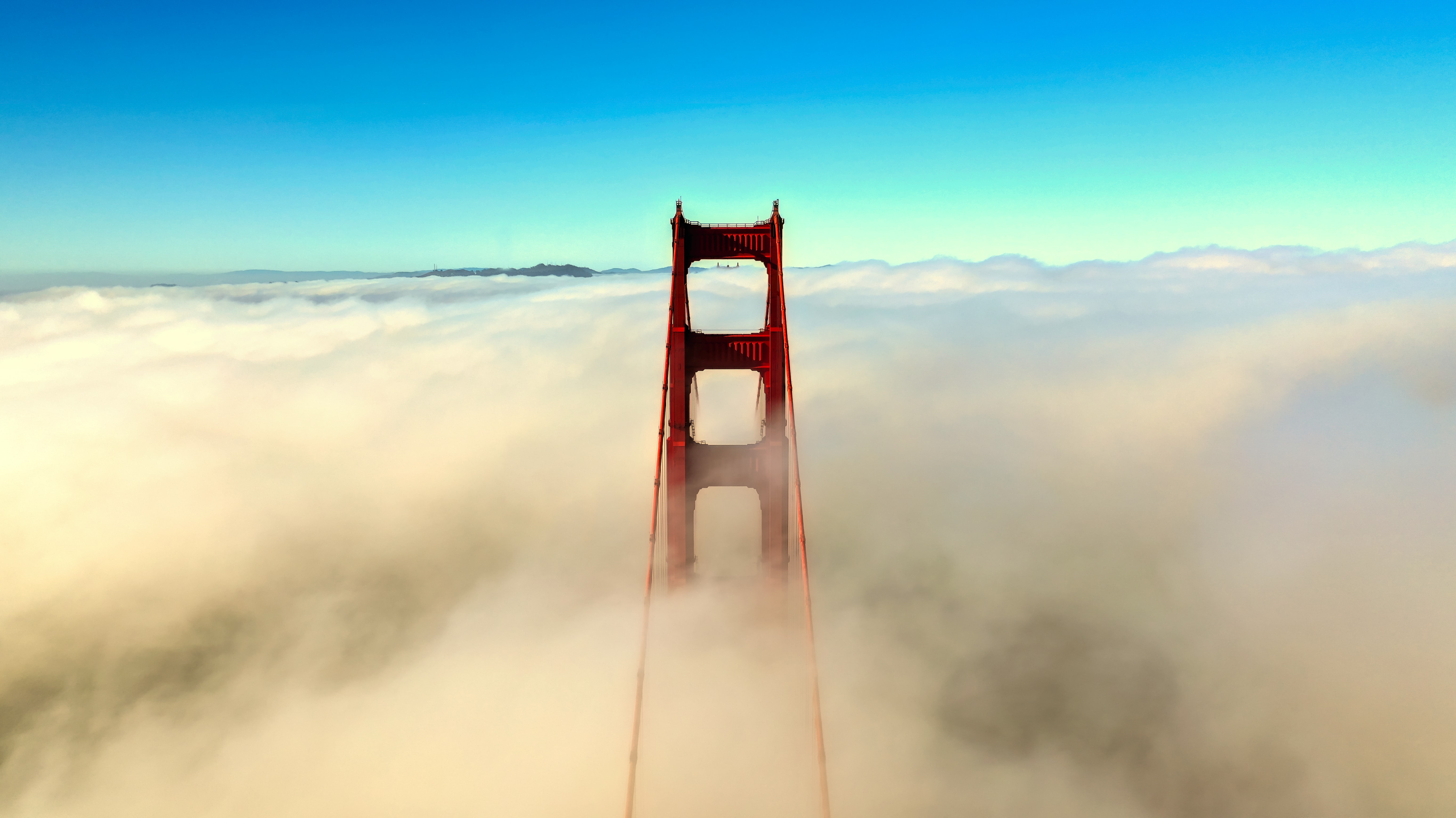 cameron-venti-6FZX6pgWvhk-unsplash