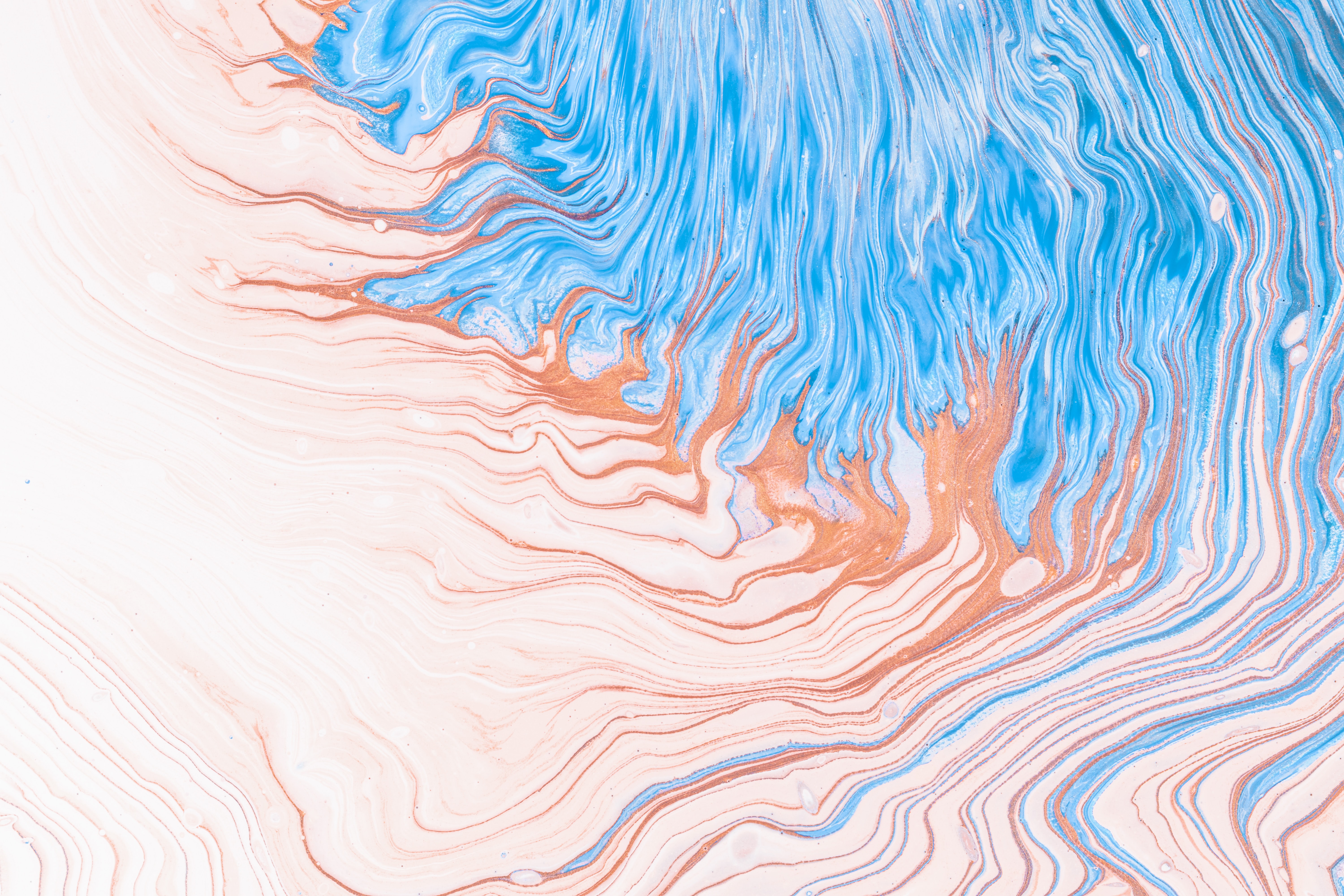 pawel-czerwinski-_gIhns5OmOs-unsplash