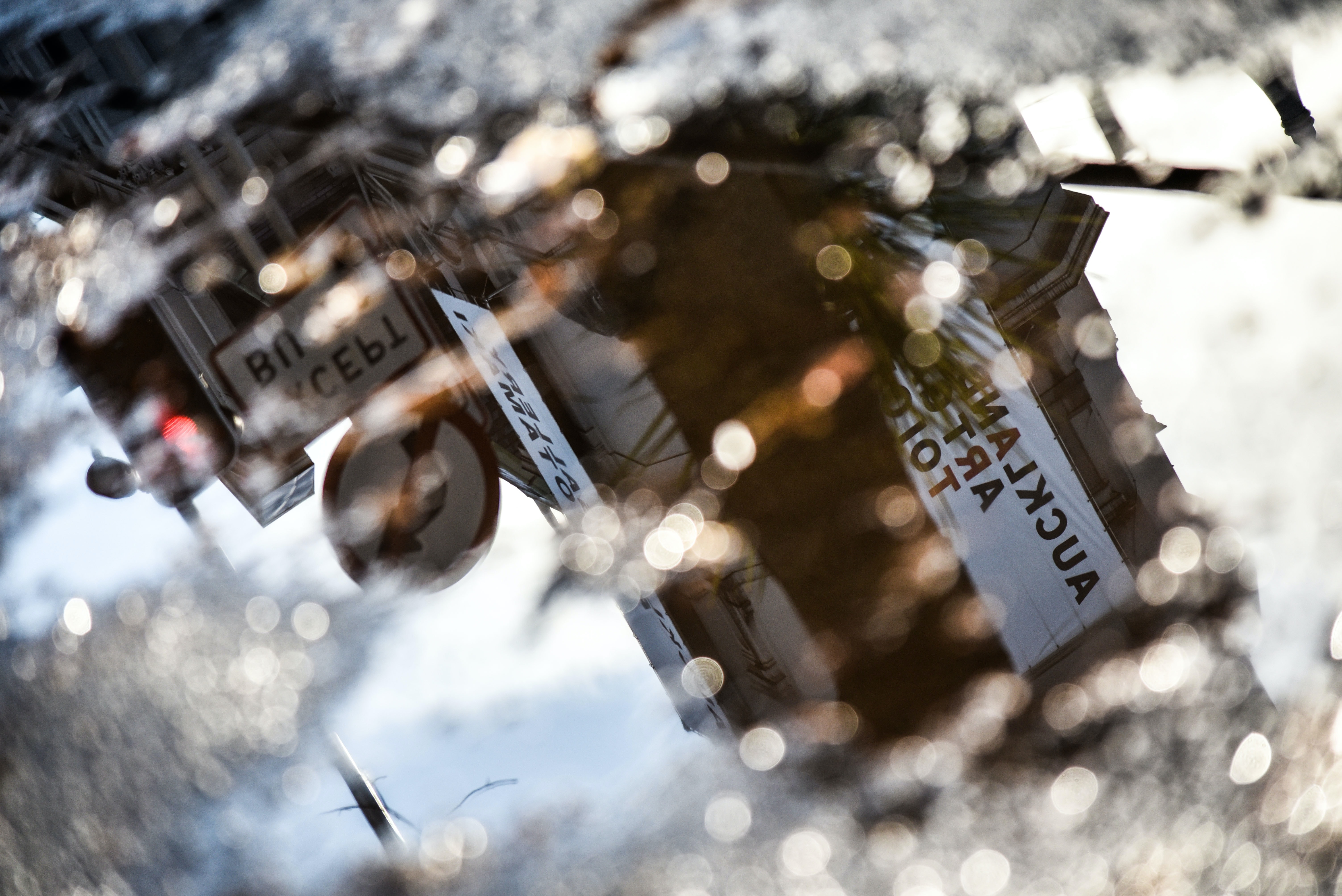 zane-lee-CAcNZdX-5mM-unsplash